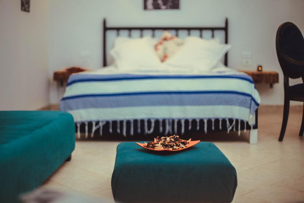 Guest house Le Ruisseau Tozeur